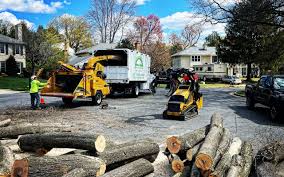 Best Tree Health Inspection  in Riverton, WY